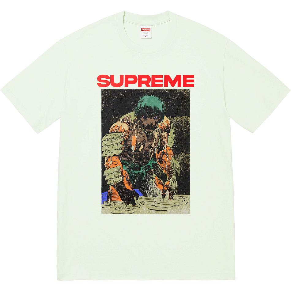 Supreme Ronin Tee T Shirts Mint | PH238KI