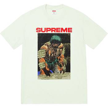 Supreme Ronin Tee T Shirts Mint | PH238KI